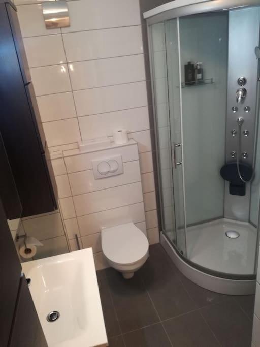Casa Ferata - Holiday Home Vizinada Экстерьер фото